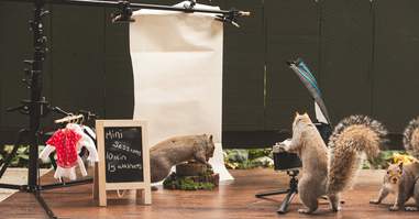 woman makes scenes for squirrels