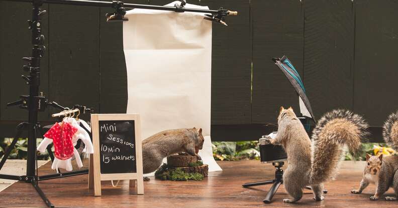 woman makes scenes for squirrels