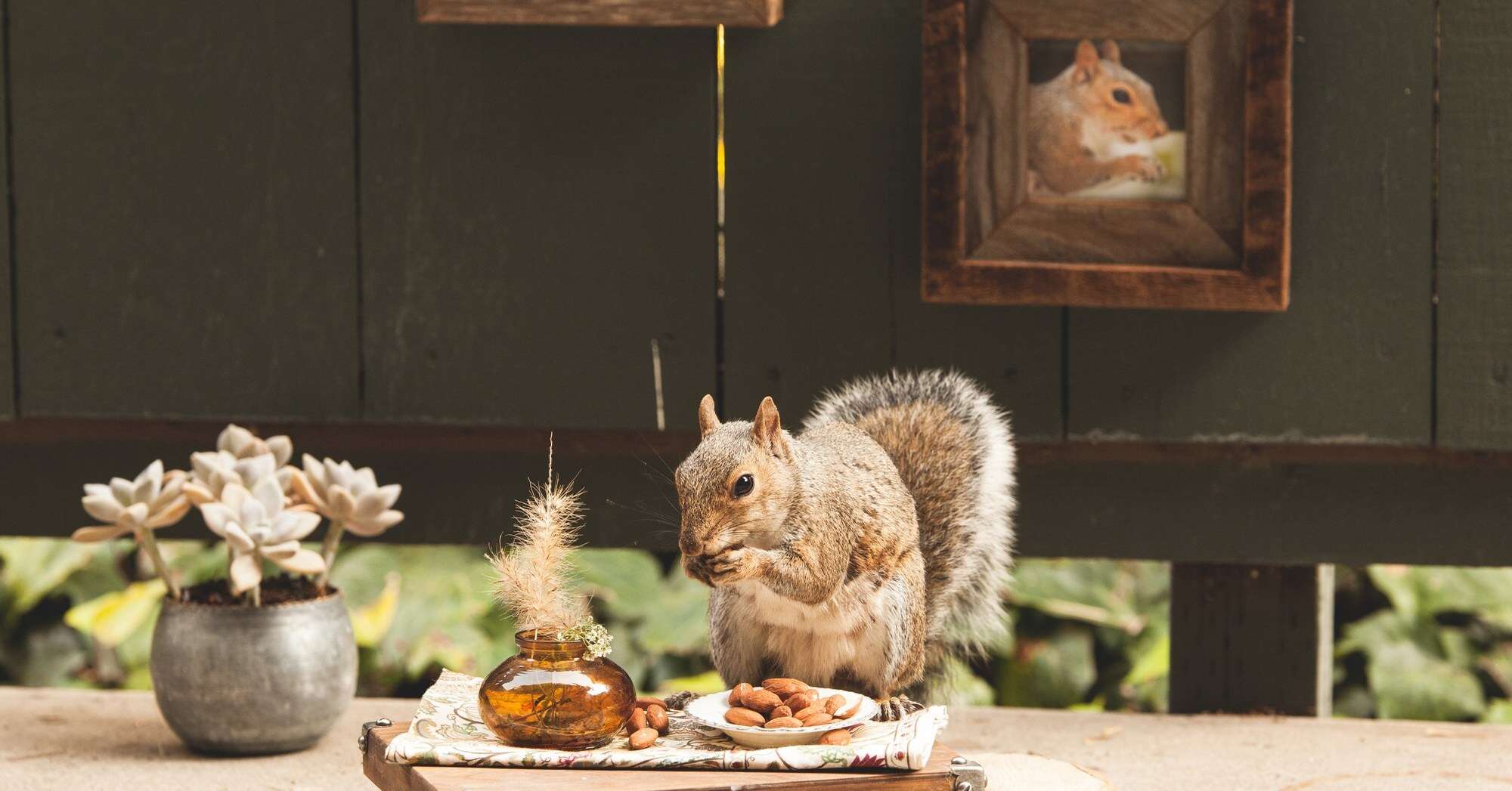 woman makes scenes for squirrels 