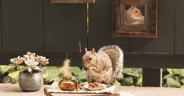 woman makes scenes for squirrels