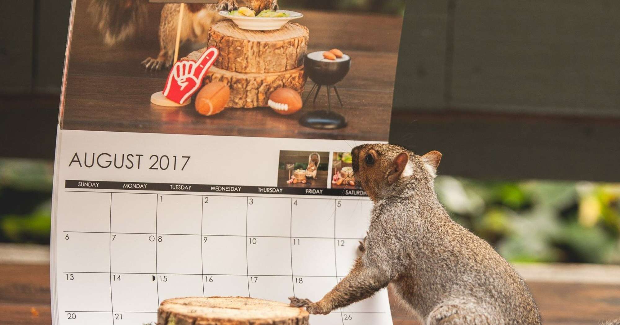 woman makes scenes for squirrels