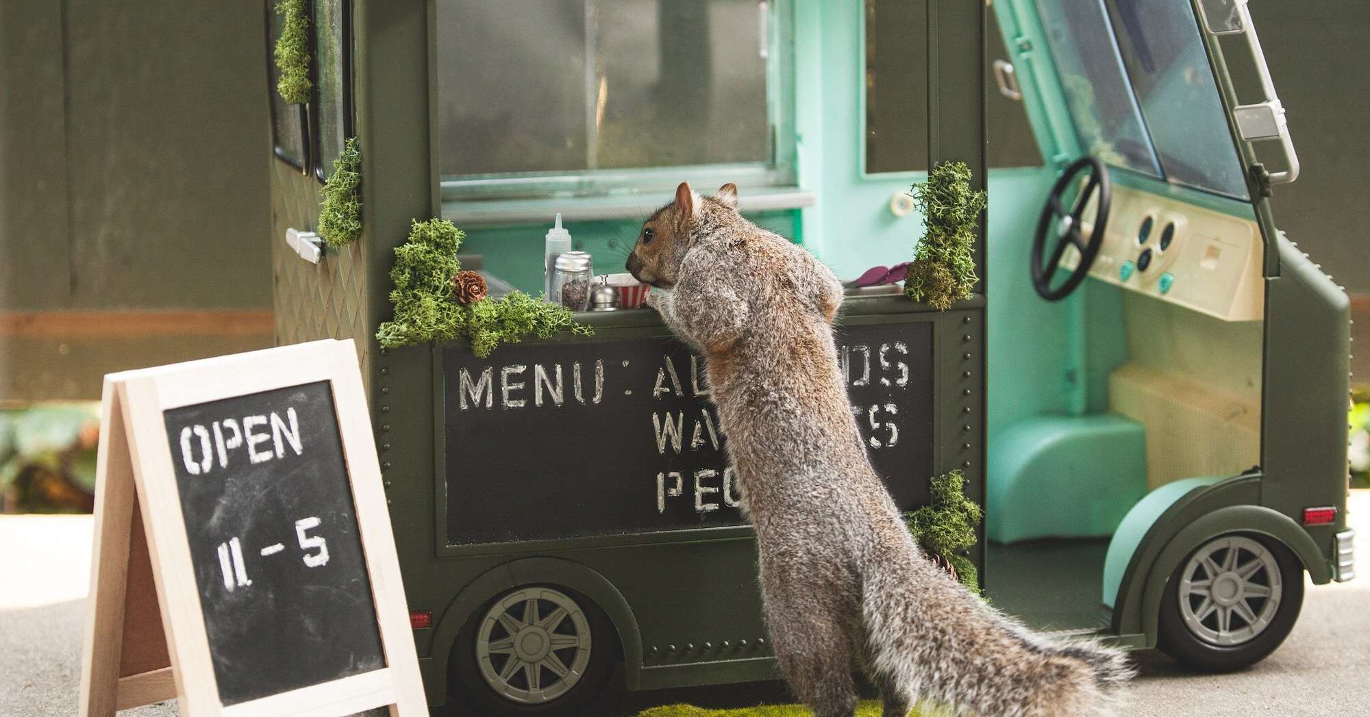 woman makes scenes for squirrels 