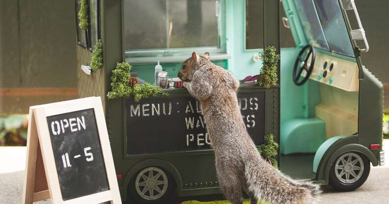woman makes scenes for squirrels