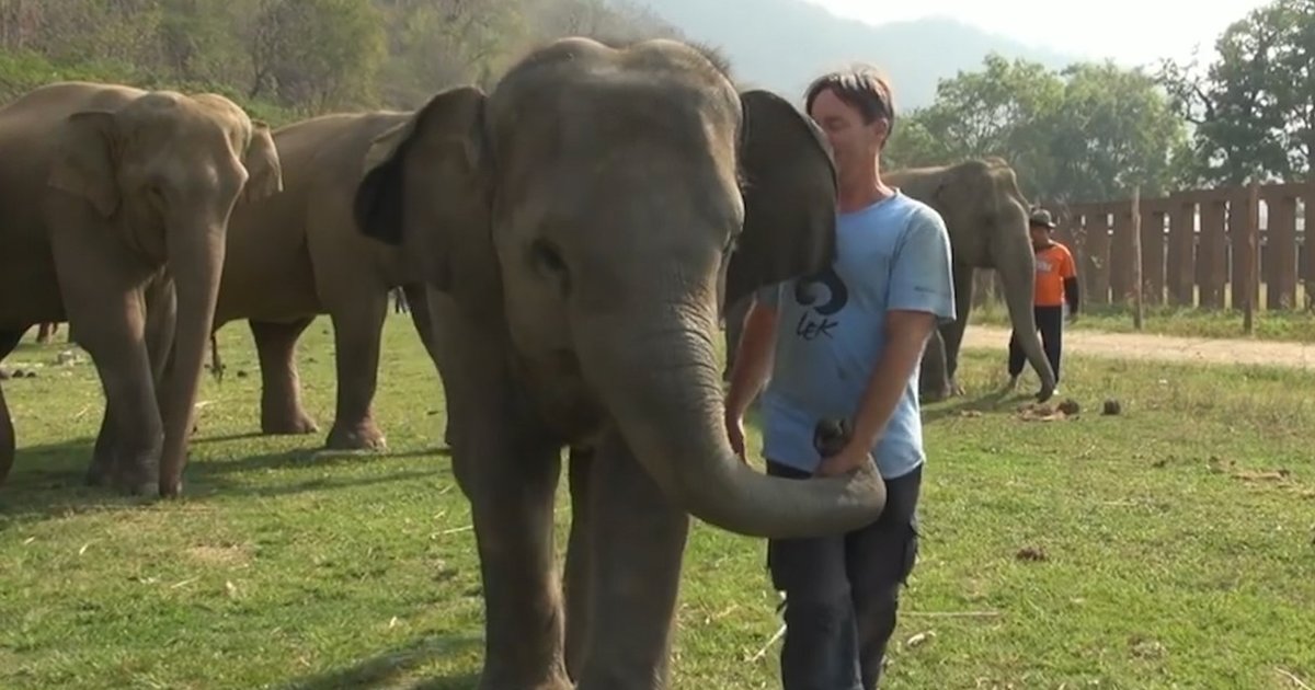 Elephant And Her Favorite Man Are Always Together The Dodo