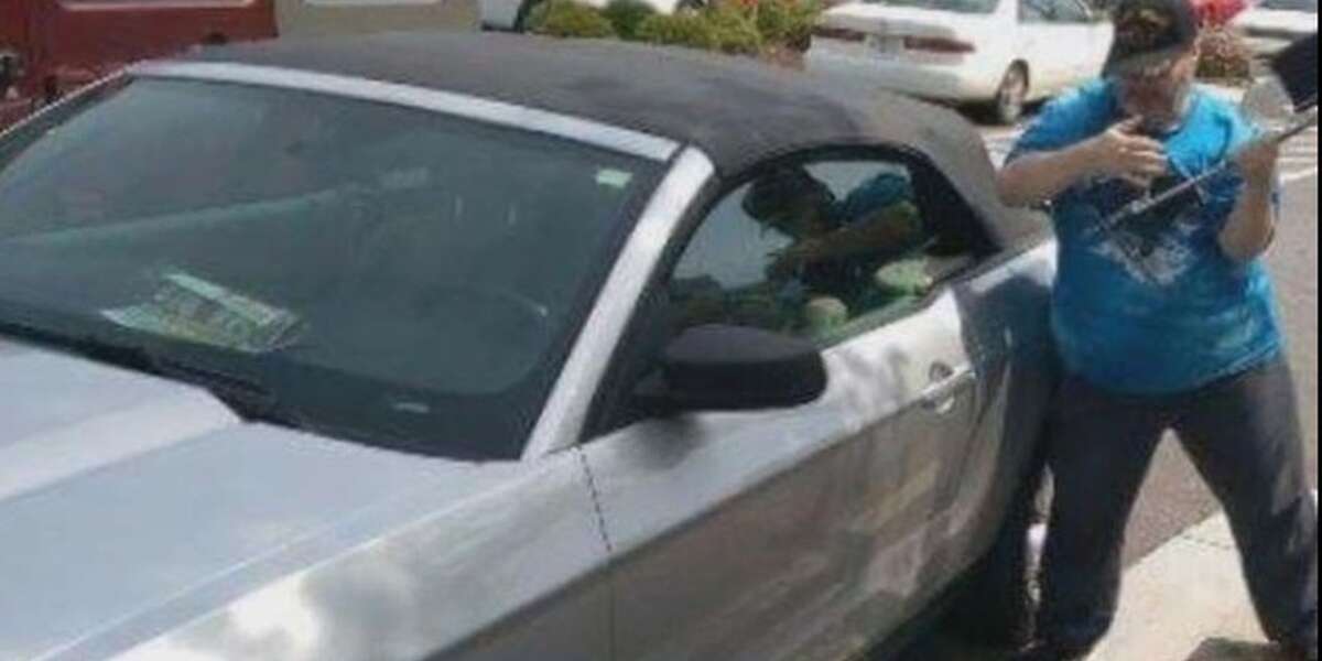 Justice Prevails For Man Arrested After Saving Dog Trapped In Hot Car ...