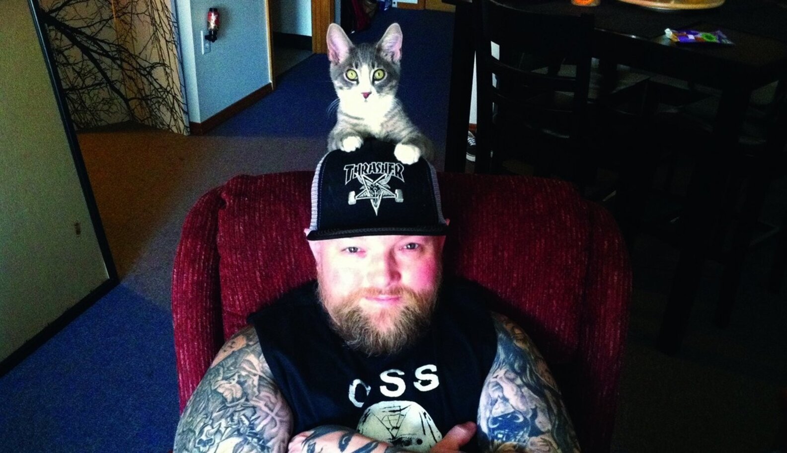 Photos: Metalheads Show Softer Side With Pet Cats - The Dodo