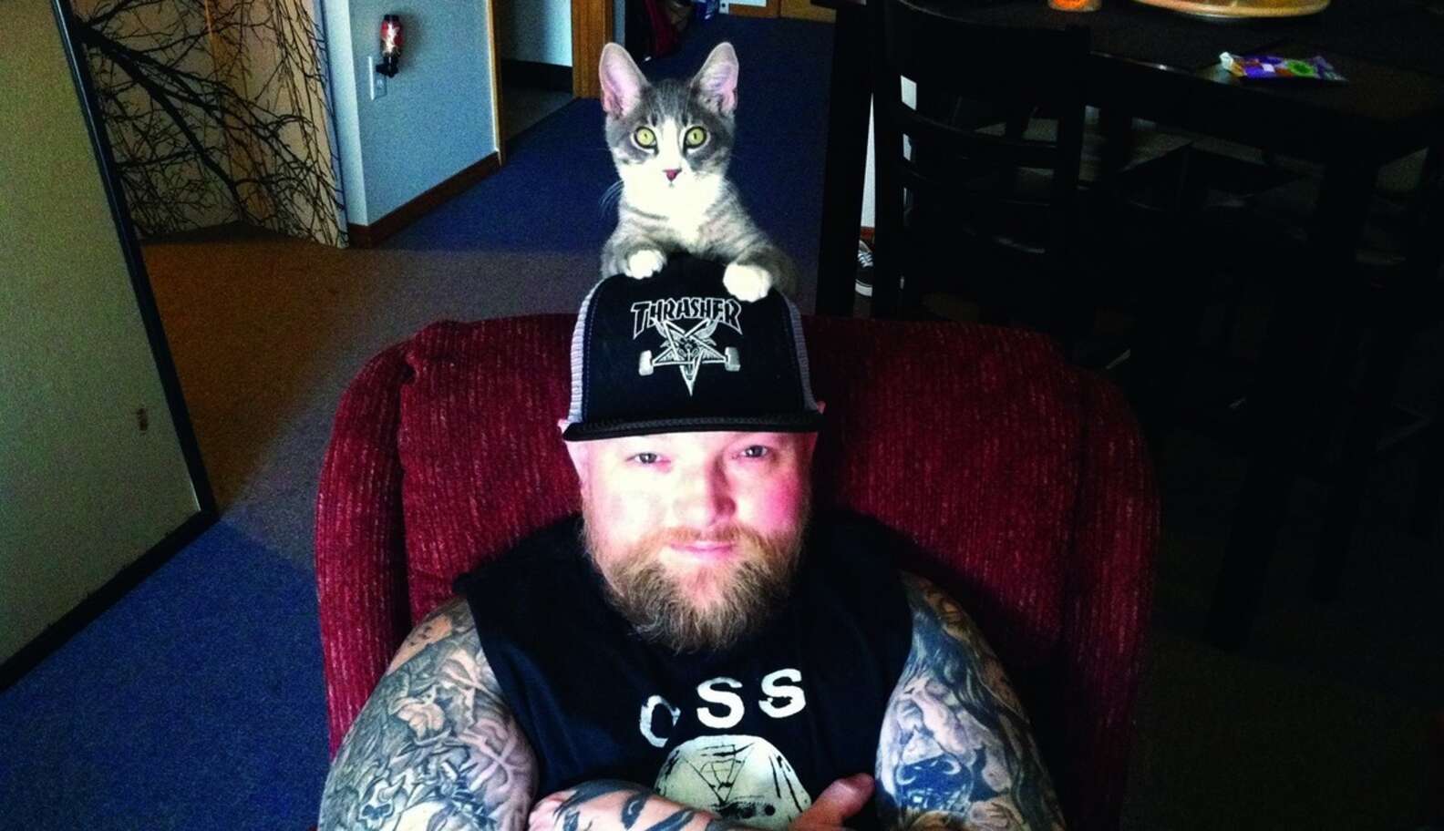 Photos: Metalheads Show Softer Side With Pet Cats - The Dodo