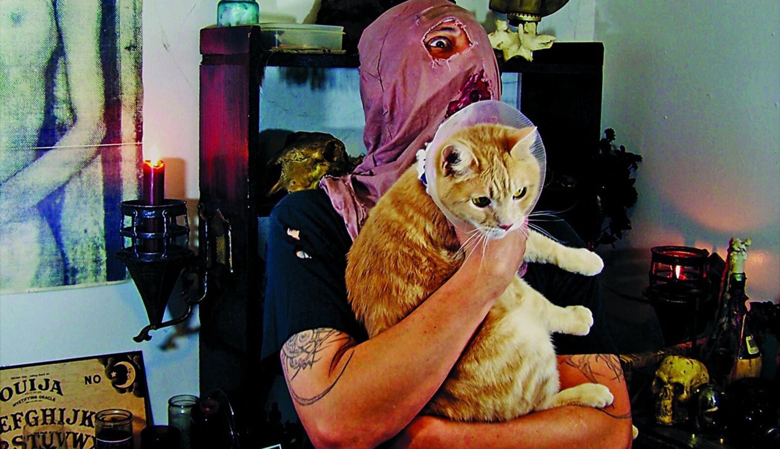 Photos: Metalheads Show Softer Side With Pet Cats - The Dodo