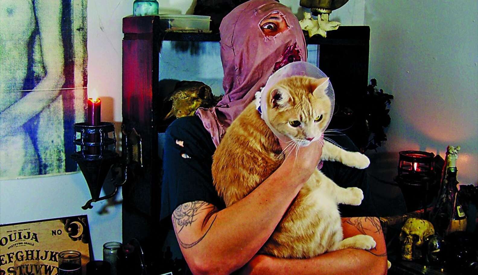 Photos: Metalheads Show Softer Side With Pet Cats - The Dodo