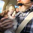 Pilots Fly Rescued Dogs Across The Country To Find Homes