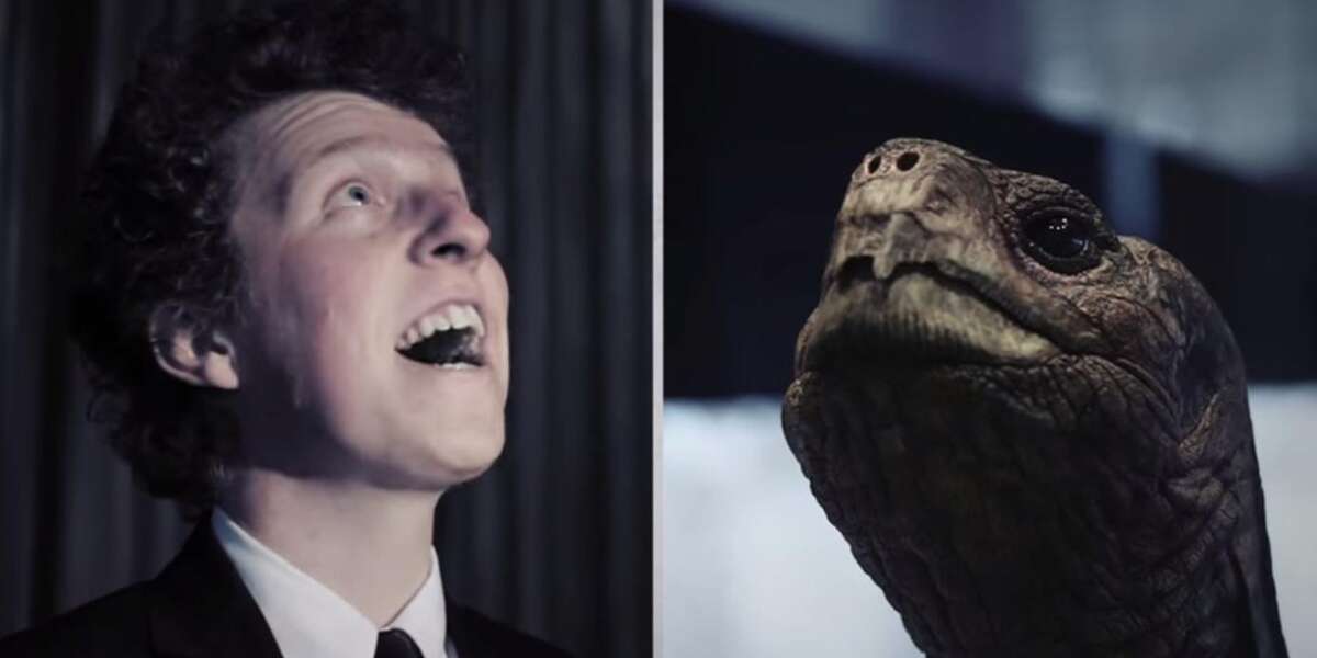 World's Loneliest Turtle Memorialized In Truly Magnificent Song - The Dodo