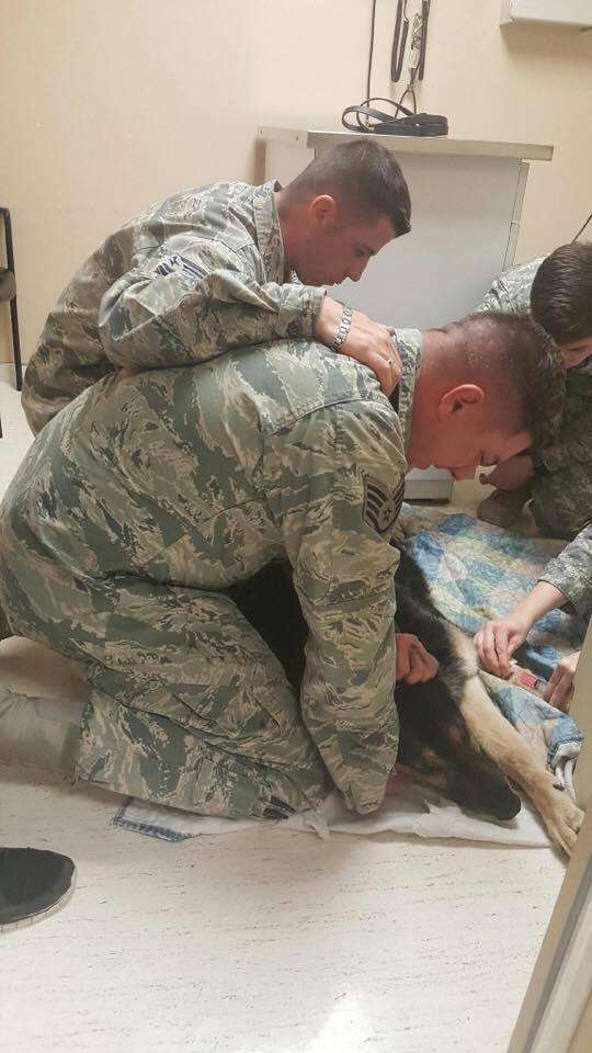 Air force members helping U.S. soldier Kyle Smith put his dog Bodza to sleep