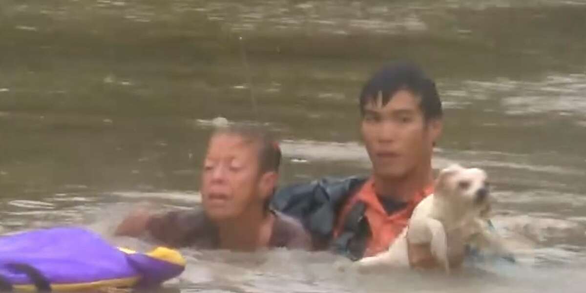 Man Risks His Life To Save Woman And Dog In Sinking Car - The Dodo