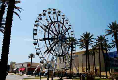 Things To Do In Gulf Shores Alabama Thrillist