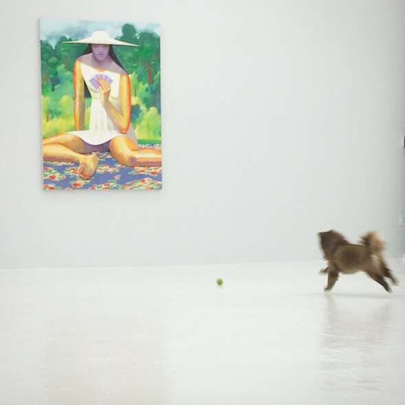 rescue dog works in an art gallery