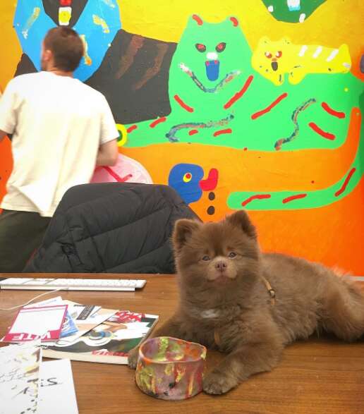 rescue dog works in an art gallery