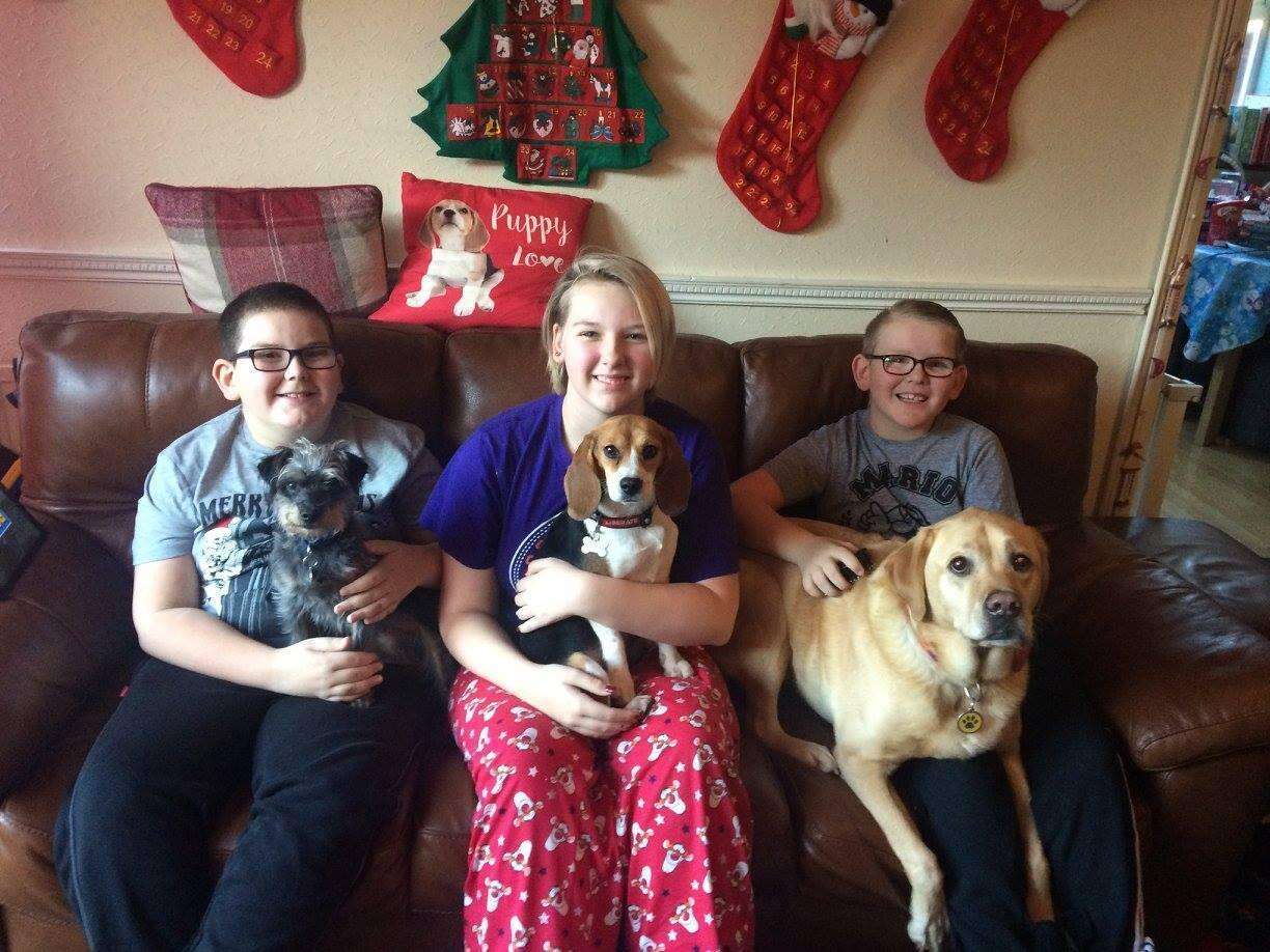 Three kids and their three dogs