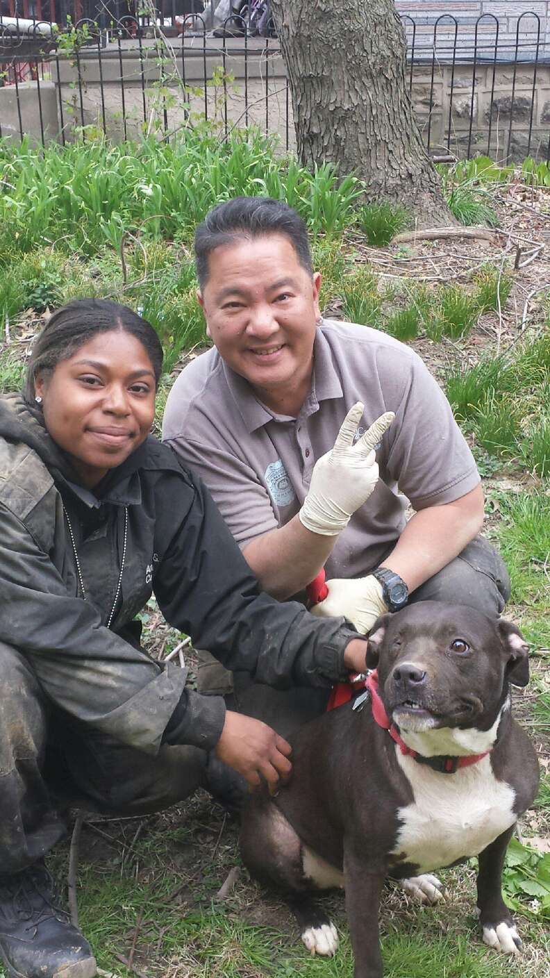 Pit Bull Falls 30 Feet Into An Abandoned Well Under Her House