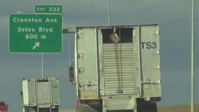 Trucks of horses going to Calgary airport