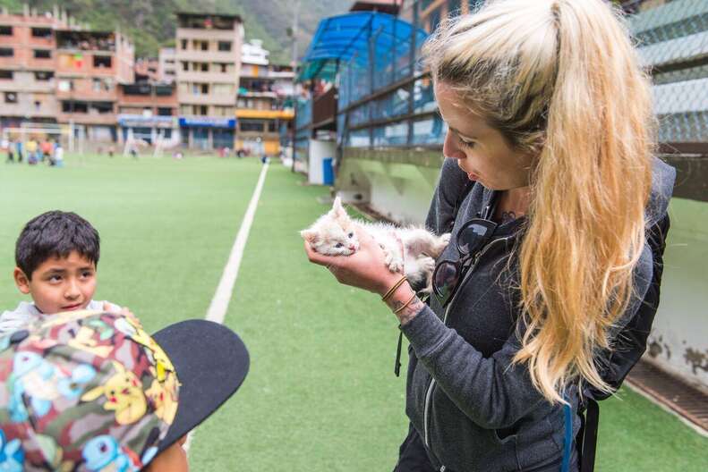 Rescued street kitten in Peru