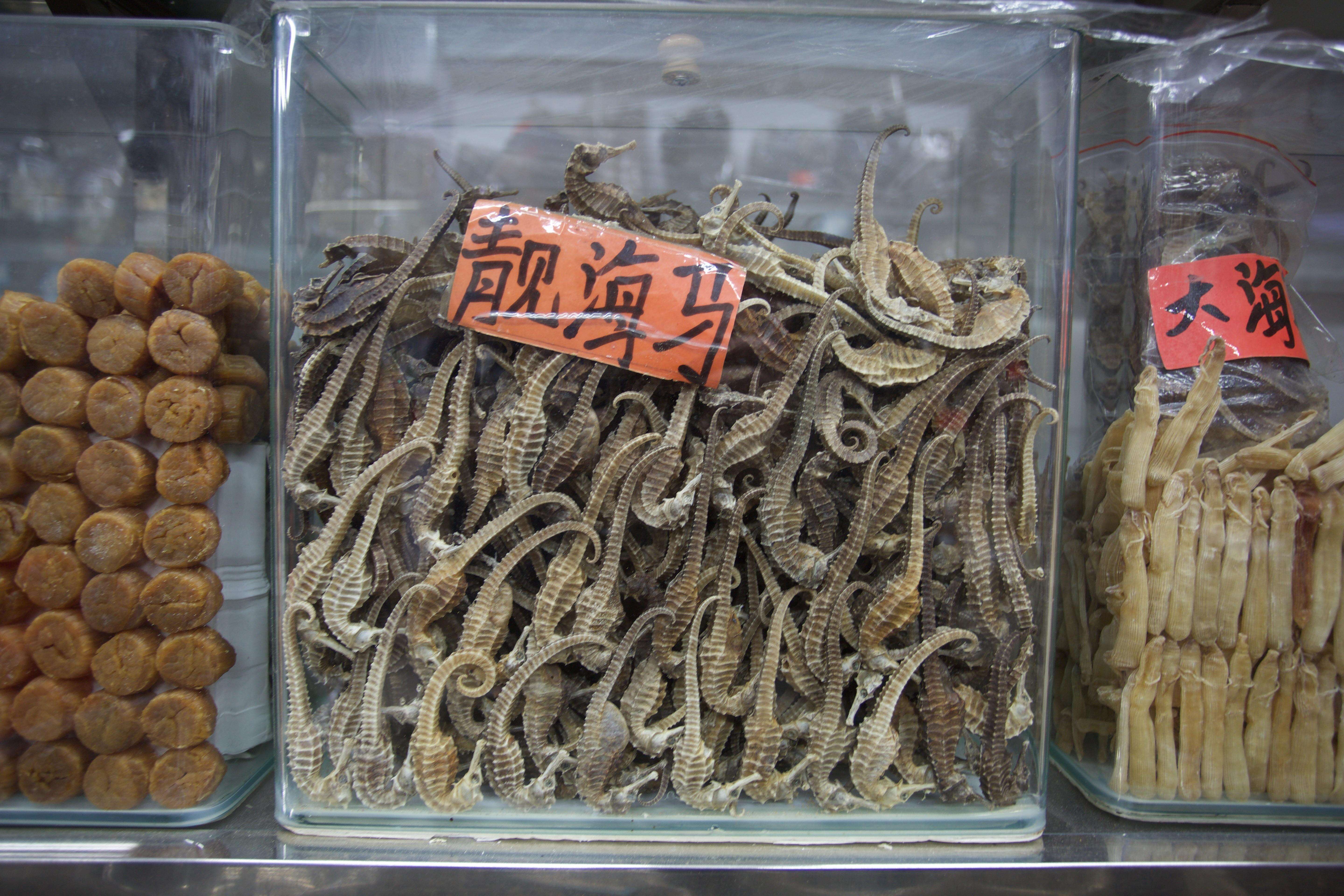 Seahorses being sold at a dry seafood store in Hong Kong