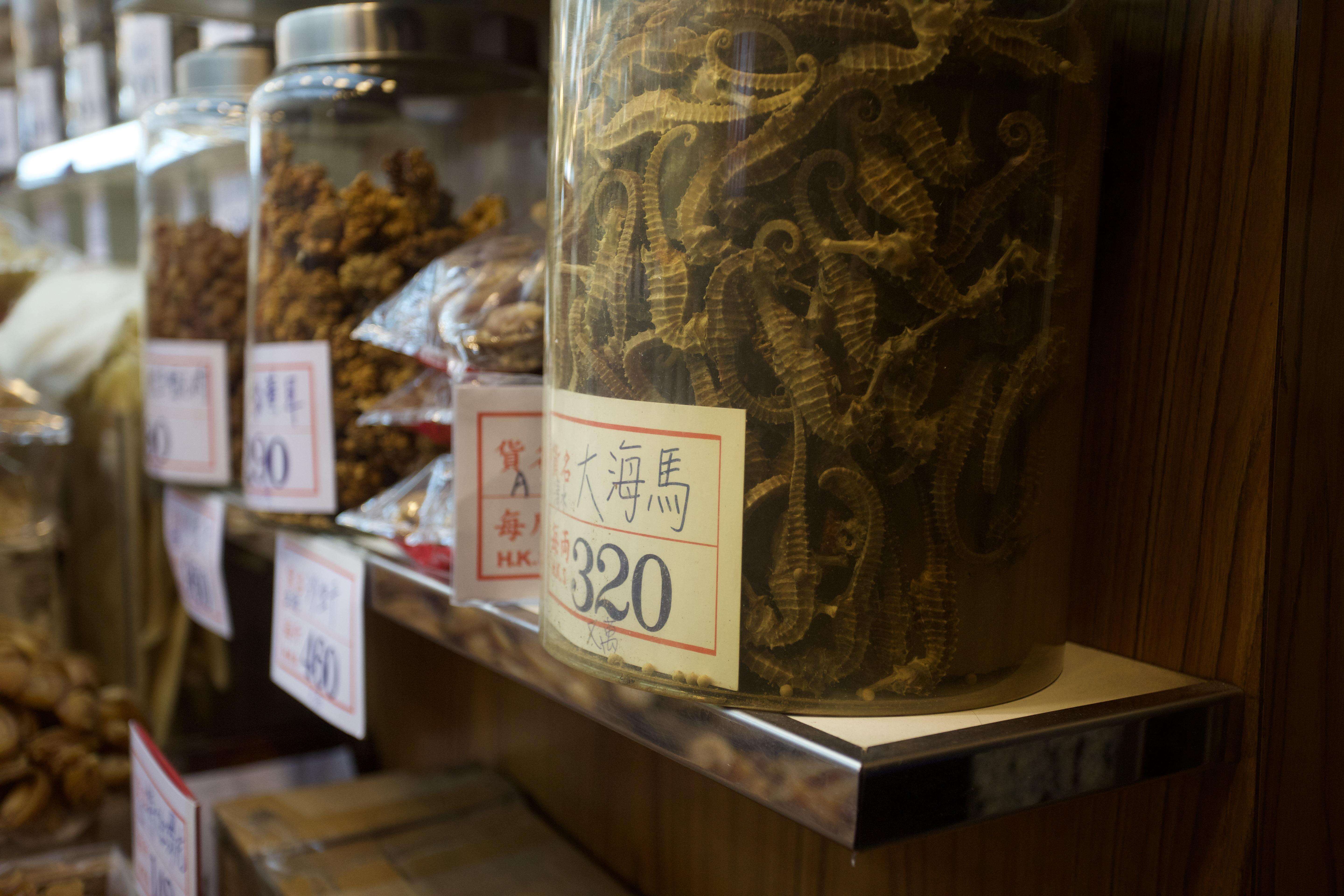 Seahorses being sold at a dry seafood store in Hong Kong