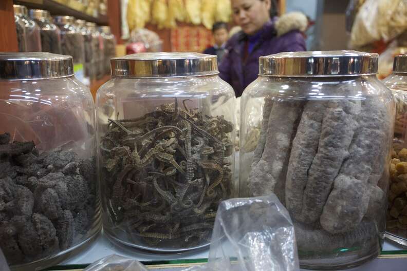 Seahorses being sold at a dry seafood store in Hong Kong
