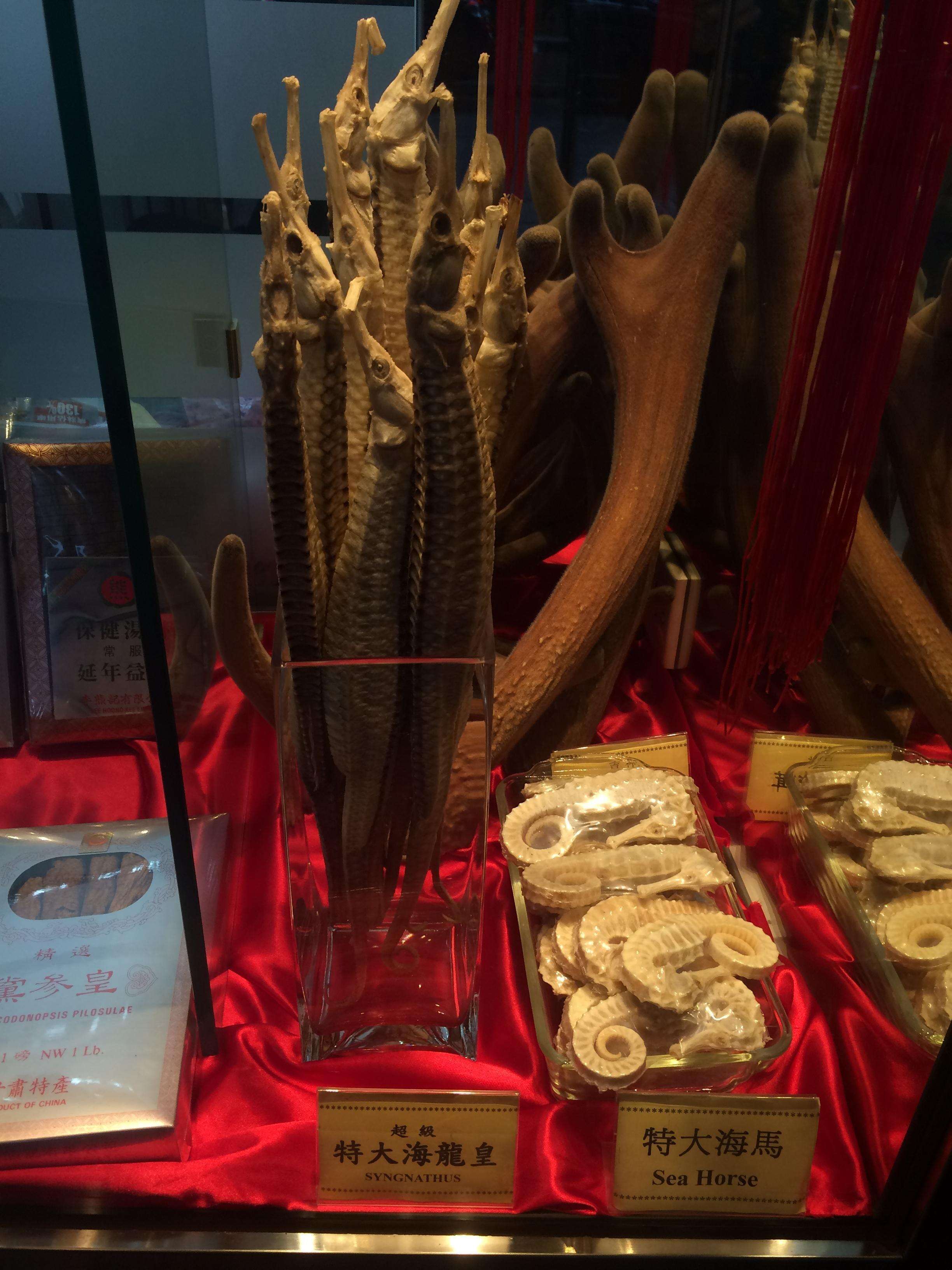 Seahorses being sold at a dry seafood store in Hong Kong