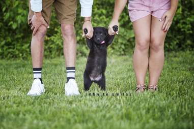 Puppy photoshoot with owners
