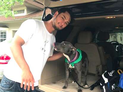 Rangers ace Yu Darvish adopts a dog headed for the pound