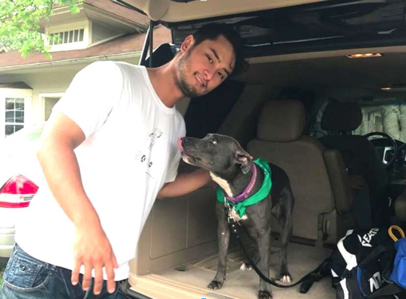 Rangers ace Yu Darvish adopts a dog headed for the pound