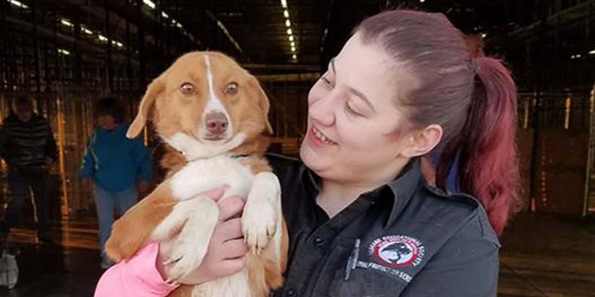 Dogs And Cats Rescued From Abandoned Puppy Mill - Videos - The Dodo