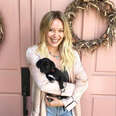 Hilary Duff adopts a puppy