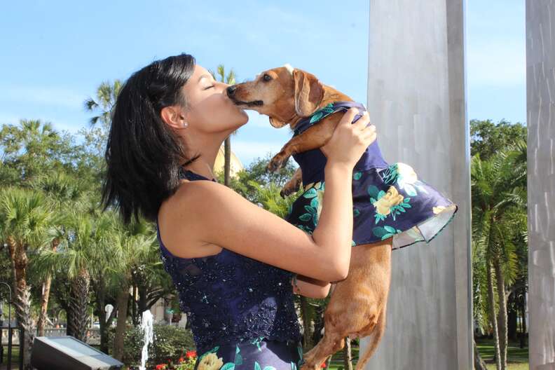 Girl Makes Matching Prom Outfit For Her Rescue Dog - The Dodo Girl Makes Matching Prom Outfit For Her Rescue Dog - The Dodo