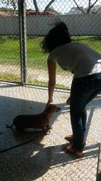Girl and her rescue dog