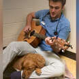 Vet Sings To Comfort Nervous Puppy