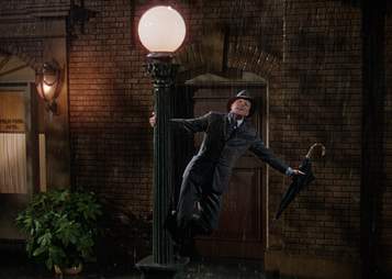 the umbrella