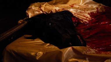 the horsehead