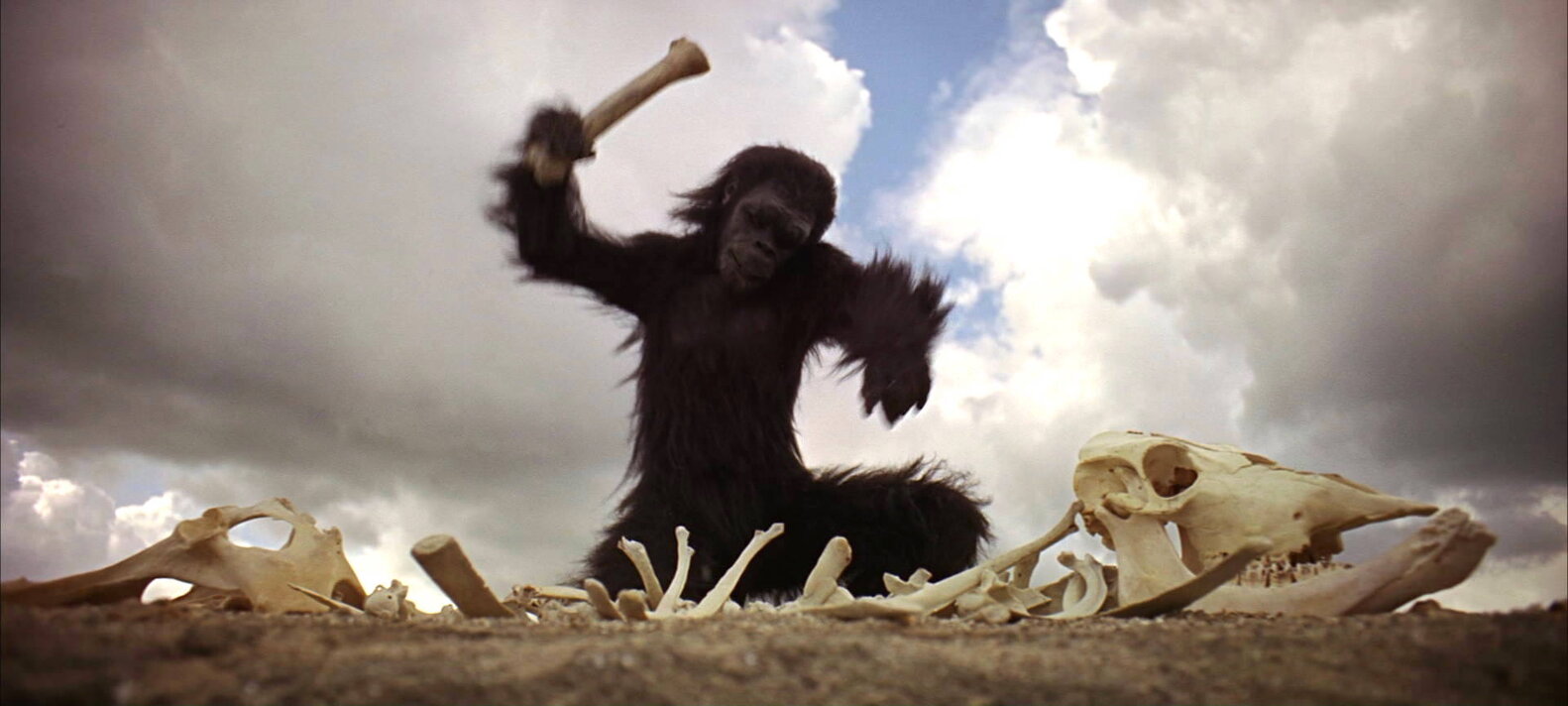 Greatest Movie Props of All Time From Lightsabers to Wilson Thrillist