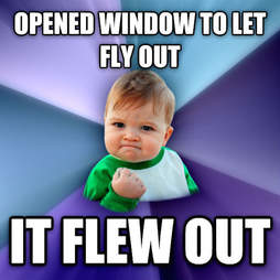 it flew out