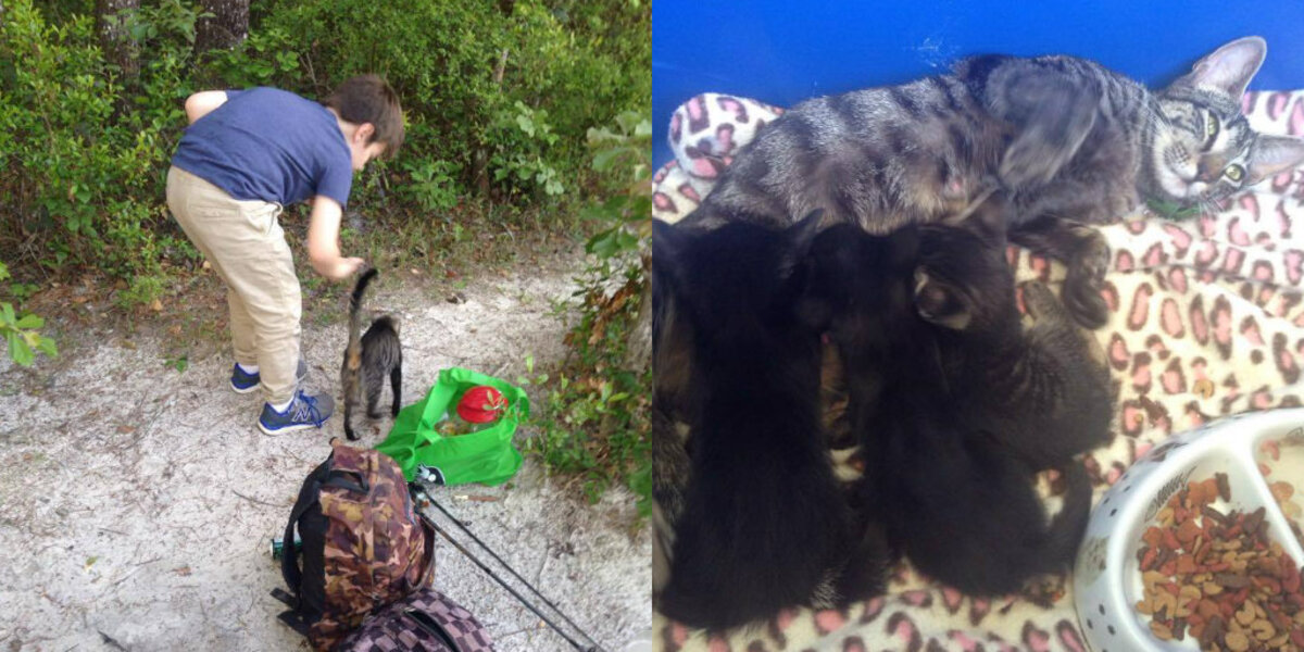 Father Son Camping Trip Turns Into A Cat Rescue The Dodo