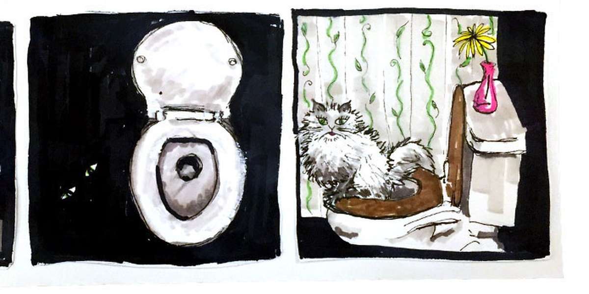 How To Toilet Train Your Cat An Illustrated Guide The Dodo