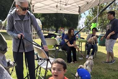 boy with autism has a pug party