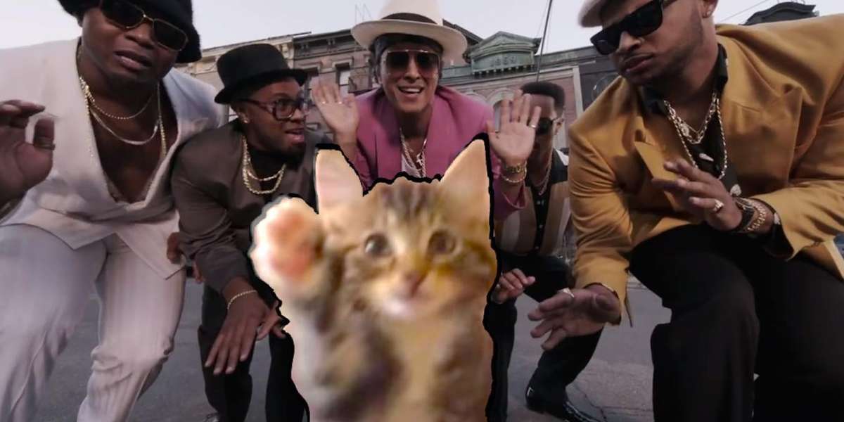 Cat Keeps Perfect Beat While Dancing To 'Uptown Funk' The Dodo