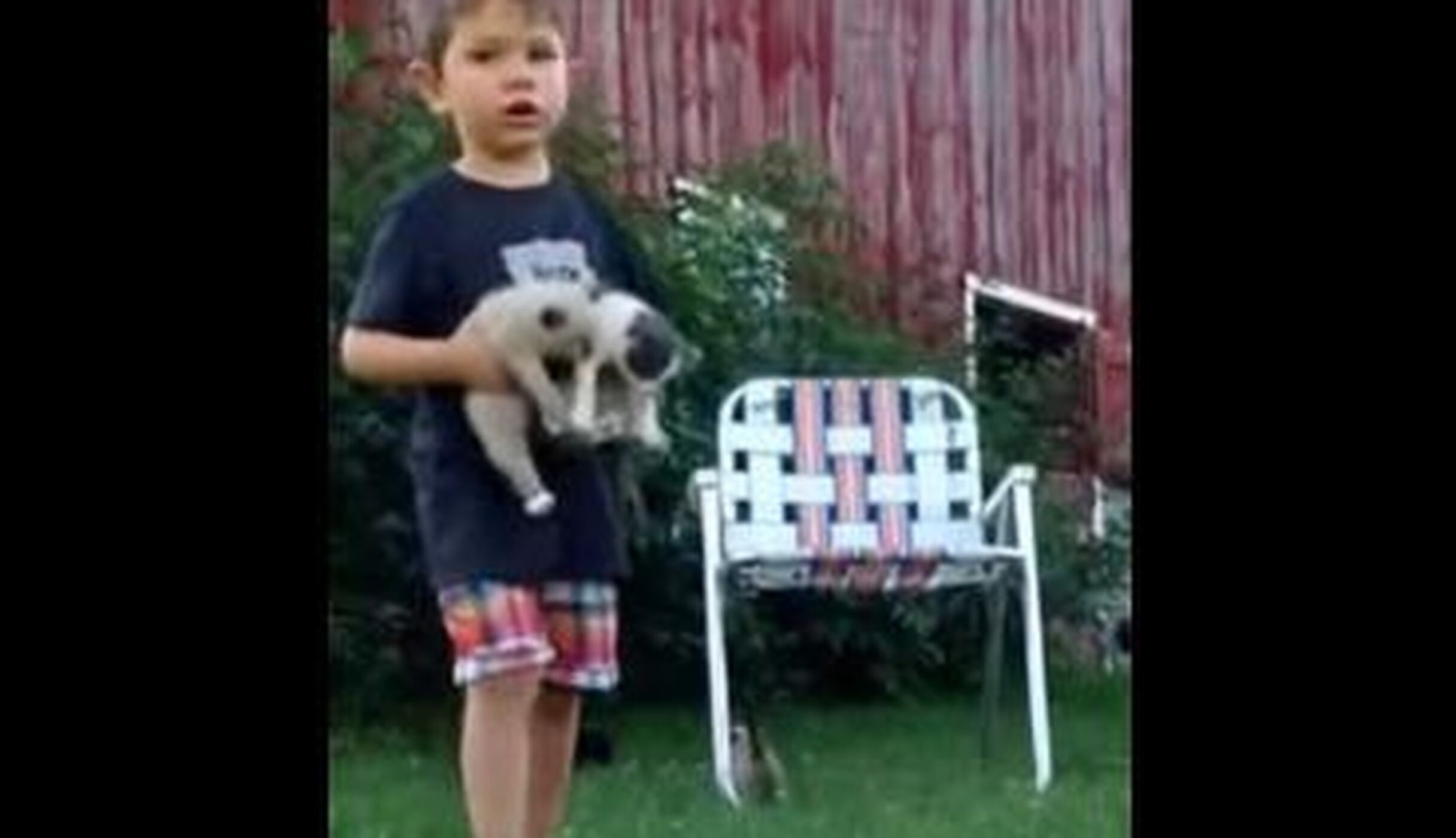 Squirmy Kittens Put 3YearOld Boy In A 'Cat Situation' The Dodo