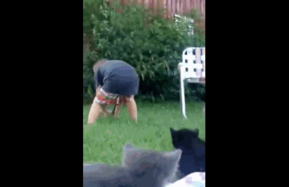 Squirmy Kittens Put 3YearOld Boy In A 'Cat Situation' The Dodo