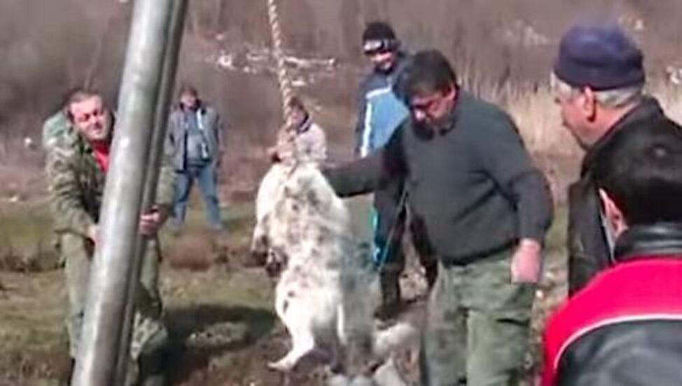 Bizarre Dog Spinning Ritual Is, Sadly, Exactly What It Sounds Like