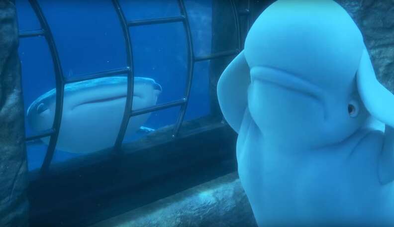 New 'Finding Dory' Trailer Sends Bold Anti-Captivity Message - The Dodo