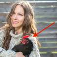 Chickens Actually Prefer People Who Are Hot