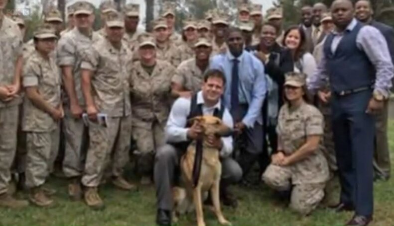 Veteran Reunites With His Service Dog After A Frantic Night Apart - The ...
